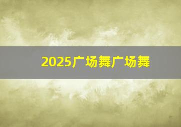 2025广场舞广场舞