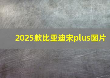 2025款比亚迪宋plus图片