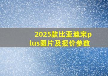 2025款比亚迪宋plus图片及报价参数