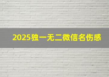 2025独一无二微信名伤感