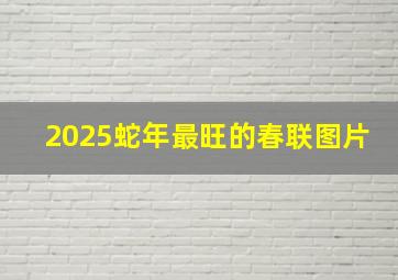 2025蛇年最旺的春联图片