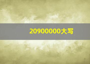 20900000大写