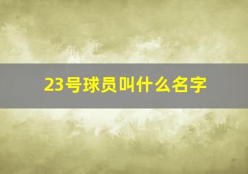 23号球员叫什么名字