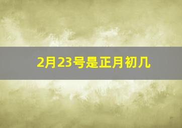 2月23号是正月初几