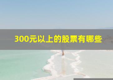 300元以上的股票有哪些