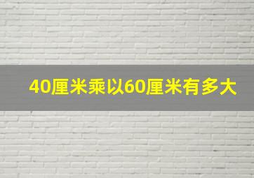 40厘米乘以60厘米有多大