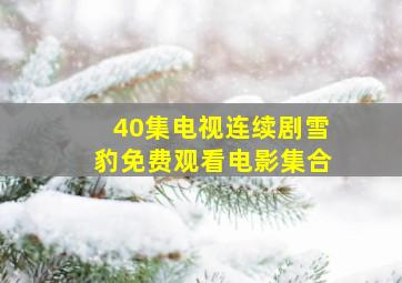 40集电视连续剧雪豹免费观看电影集合