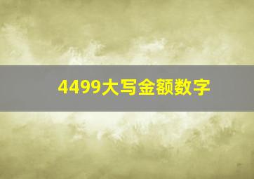 4499大写金额数字