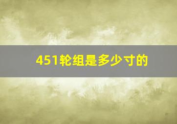 451轮组是多少寸的