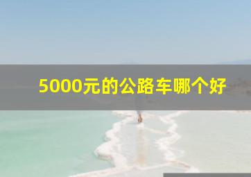 5000元的公路车哪个好