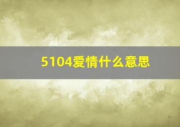 5104爱情什么意思