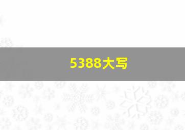 5388大写