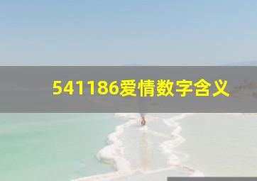 541186爱情数字含义