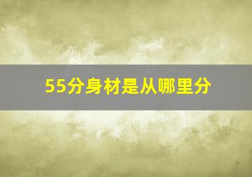 55分身材是从哪里分