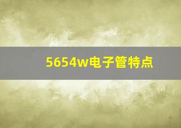 5654w电子管特点