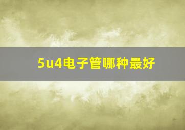 5u4电子管哪种最好