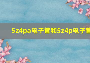 5z4pa电子管和5z4p电子管