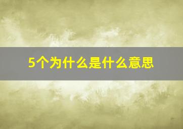 5个为什么是什么意思