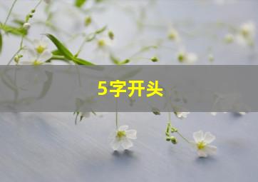 5字开头