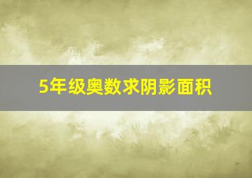 5年级奥数求阴影面积