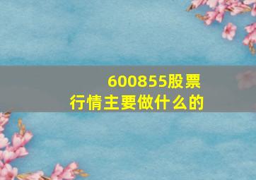 600855股票行情主要做什么的