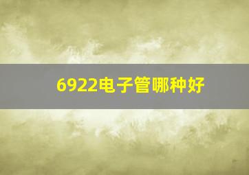 6922电子管哪种好