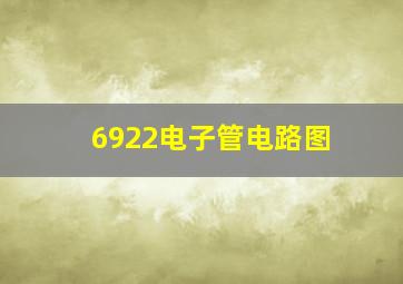 6922电子管电路图