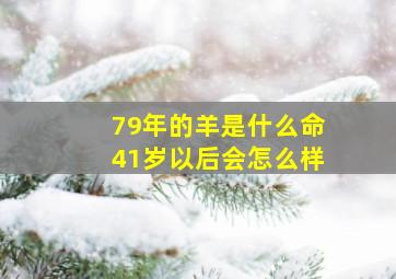 79年的羊是什么命41岁以后会怎么样