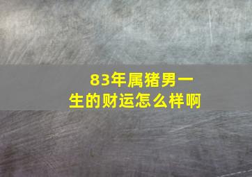 83年属猪男一生的财运怎么样啊