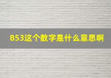 853这个数字是什么意思啊