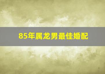 85年属龙男最佳婚配