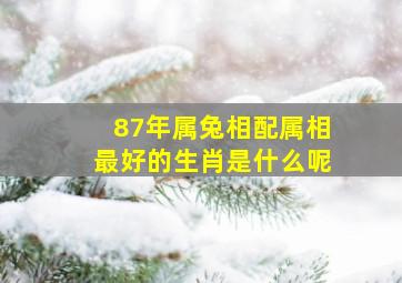 87年属兔相配属相最好的生肖是什么呢