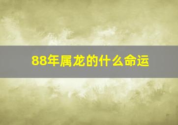 88年属龙的什么命运