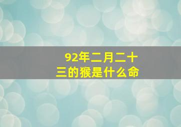 92年二月二十三的猴是什么命