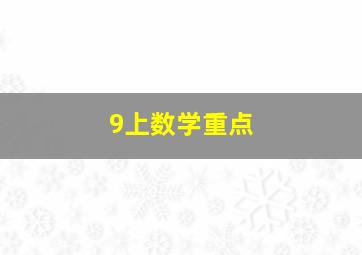 9上数学重点