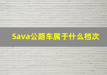 Sava公路车属于什么档次