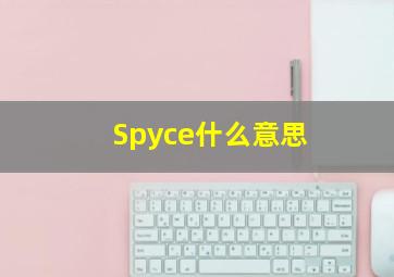 Spyce什么意思