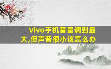 Vivo手机音量调到最大,但声音很小该怎么办