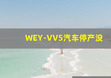 WEY-VV5汽车停产没