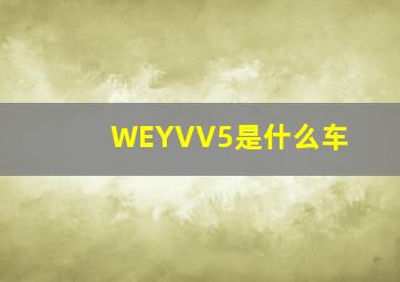 WEYVV5是什么车