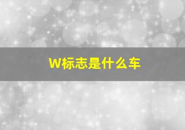 W标志是什么车