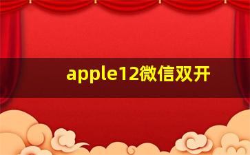 apple12微信双开