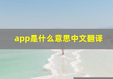 app是什么意思中文翻译