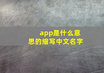 app是什么意思的缩写中文名字