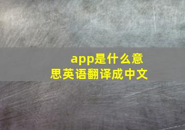 app是什么意思英语翻译成中文