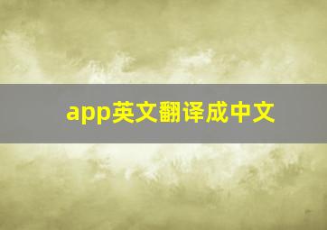 app英文翻译成中文