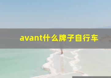 avant什么牌子自行车