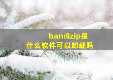 bandizip是什么软件可以卸载吗