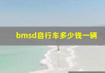 bmsd自行车多少钱一辆