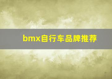 bmx自行车品牌推荐